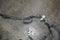 2003 2007 Chevrolet Silverado 1500 2500 3500 Headlight Headlamp Wiring Harness