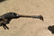 2008 2012 Ford Escape AWD 3.0 V6 Steering Rack Assembly 08 09 10 11 12