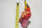 Bright Colors one of a kind Parrot Ceramic wall decor Mexico Hand Painted SIGNED