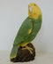 ANIMAL CLASSICS UNITED DESIGN HAND PAINTED AMAZON PARROT CC-136 ART STATUE