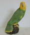 ANIMAL CLASSICS UNITED DESIGN HAND PAINTED AMAZON PARROT CC-136 ART STATUE