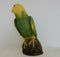 ANIMAL CLASSICS UNITED DESIGN HAND PAINTED AMAZON PARROT CC-136 ART STATUE