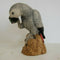 ANIMAL CLASSICS UNITED DESIGN HAND PAINTED AFRICAN PARROT CC-206 ART STATUE