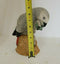 ANIMAL CLASSICS UNITED DESIGN HAND PAINTED AFRICAN PARROT CC-206 ART STATUE