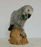 ANIMAL CLASSICS UNITED DESIGN HAND PAINTED AFRICAN PARROT CC-206 ART STATUE