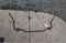 1958 1959 1960 Ford Thunderbird Original Front Sway Bar 58 59 60 11852