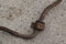 1958 1959 1960 Ford Thunderbird Original Front Sway Bar 58 59 60 11852