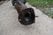 1957 FORD 9 INCH REAR AXLE DIFFERENTIAL HOUSING 57