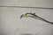 2008 2009 2010 FORD F250 SUPER DUTY LARIAT ANTENNA BASE CABLE ASSEMBLY 08 09 10