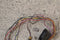 1972 1973 Ford Gran Torino Sport ? Wiring Harness Engine Bay Under Hood Wiring