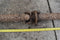 1958 CADILLAC LIMO FLEETWOOD SERIES 75 DRIVESHAFT DRIVE SHAFT LINKAGE 58