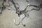 1967 1968 1969 1970 Ford Ranchero Torino Fairlane In Dash Wiring Harness 67 68